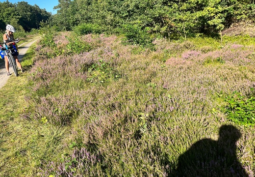 23-09-08 16-42-25 6483